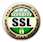 SSL Icon