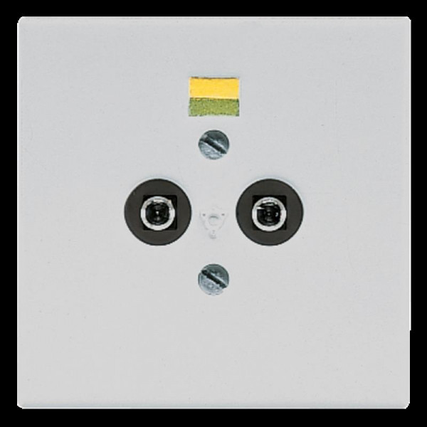 Jung LS965-2LG Potentialausgleich-Steckdose, 2 Steckerstifte nach DIN 42801, Tragring