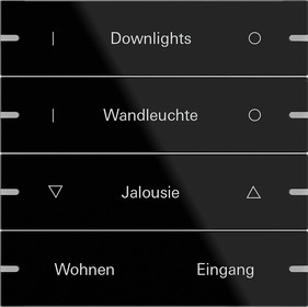 Gira 503405 Wippenset 4f indiv. Tastsens.4 TS4 G Schwarz