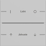 Gira Wippenset 2-fach für Tastsensor 4 System 55 individuell Grau matt 5762015