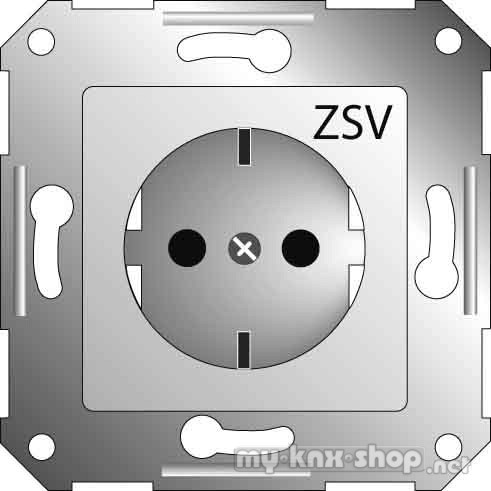 ELSO Steckdoseneinsatz or mit Aufdruck ZSV 265118