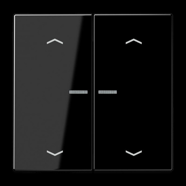 Jung LS995KO5MPSW Wippe, Symbole Pfeile, Linsen, Lichtleiter, für Taster BA 2fach Mittenstellung