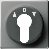 Gira 066420 Abdeckung für Schlüsselschalter und...
