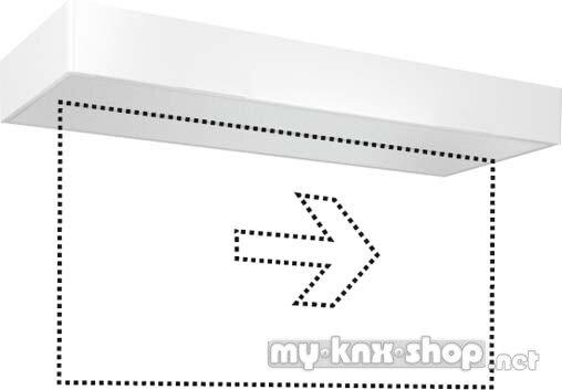 ESYLUX LED-Notleuchte ws 8h, f.AP-/Deck SLX24LEDi EN10077388