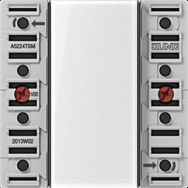 Jung A5224TSM Tastsensor-Modul 24 V, 2fach, AC/DC 24 V, 2-kanalig (4 Schaltpunkte), Beschriftungsfeld