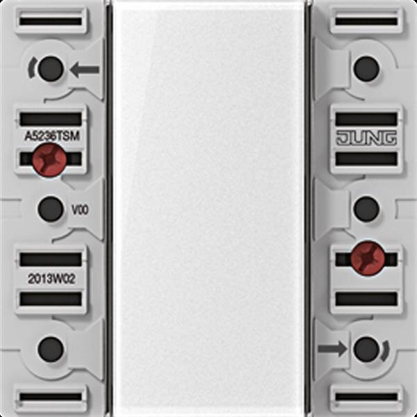 Jung A5236TSM Tastsensor-Modul 24 V, 3fach, AC/DC 24 V, 3-kanalig (6 Schaltpunkte), Beschriftungsfeld