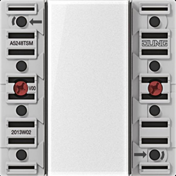 Jung A5248TSM Tastsensor-Modul 24 V, 4fach, AC/DC 24 V, 4-kanalig (8 Schaltpunkte), Beschriftungsfeld