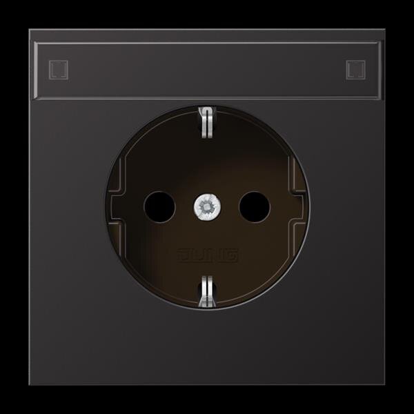 Jung AL1520NAD SCHUKO-Steckdose, 16 A 250 V ~, Schriftfeld