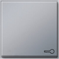 Gira 028765 Wippe Schlüssel Farbe alu TX44 (WG UP)