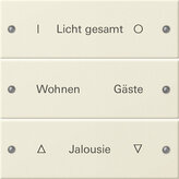 Gira 220301 Wippenset 3fach,beschriftbar System 55 Cremeweiß