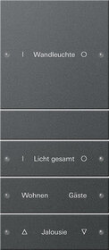 Gira 220428 Wippenset 4fach,beschriftbar System 55 Anthrazit