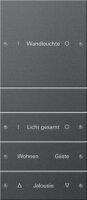 Gira 220428 Wippenset 4fach,beschriftbar System 55 Anthrazit
