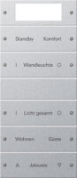 Gira 221526 Wippenset 5f Plus beschriftb System 55 Farbe Alu