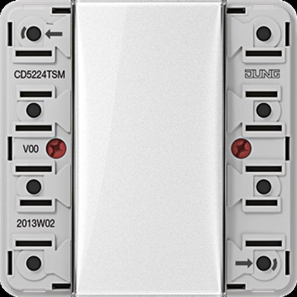 Jung CD5224TSM Tastsensor-Modul 24 V, 2fach, AC/DC 24 V, 2-kanalig (4 Schaltpunkte), Beschriftungsfeld