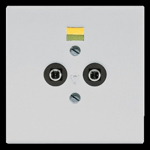 Jung LS965-2LG Potentialausgleich-Steckdose, 2 Steckerstifte nach DIN 42801, Tragring