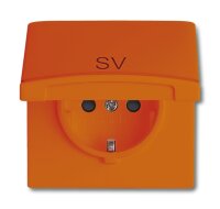 Busch-Jaeger SCHUKO Steckdosen-Einsatz orange RAL 2004 20...