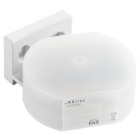 Hugo Müller Licht- und Temperatursensor, LS 30.00...