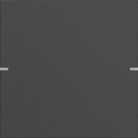 Gira 5021928 Wippenset 1f Tastsens.4 TS4 Anthrazit(lack.)