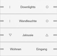 Gira 5034927 Wippenset 4f indiv. Tastsens.4 TS4...