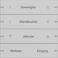 Gira 5034915 Wippenset 4f indiv. Tastsens.4 TS4 Grau...