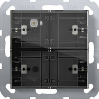 Gira Tastsensor 4 Standard 2-fach für KNX System 55,...