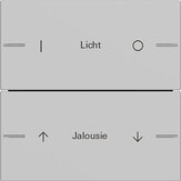 Gira Wippenset 2-fach für Tastsensor 4 System 55 individuell Grau matt 5762015