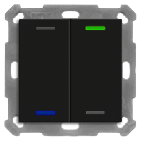 MDT BE-TAL550206.01 KNX Taster Light 55 2-fach, RGBW,...