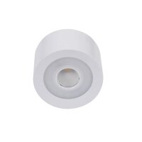 LEDlumi DA12CTWWS LED Aufbaustrahler weiß 24V 12W...