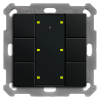 MDT BE-TA55P606.02 KNX Taster Plus 55 6-fach, Schwarz matt