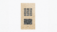 Doorbird A1121 Unterputz IP Zutrittskontrollsystem RAL 1001
