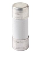 ABB Stotz Sicherung 22x58mm für E90/125 E 9F22 GG20