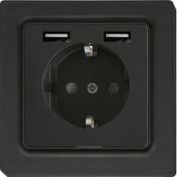 Eltako Schutzkontakt-Steckdose anthrazit ma DSS55E+2xUSBA-am