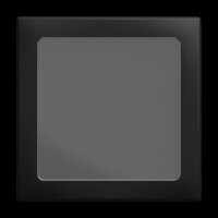 Busch-J. Zentralscheibe 2562-915