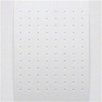 ELCOM Nebensignalgerät Economy NSG-802 ws