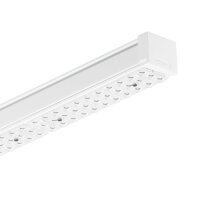 Signify LED-Lichtträger 581LED55S/840PSDWBW 4MX400...