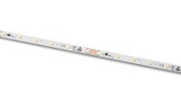 Barthelme LED-Stripe 5m 24VDC 2700K IP66 50413128T