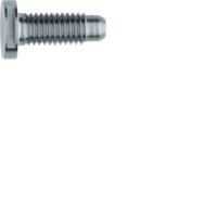 ELCOM Schraube Spezial ZY M5x12 Edelstahl REH121Y