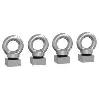 Schneider Satz 4 Edelstahl-Ösenschrau NSYSMXEB