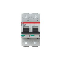 ABB Stotz Kurzschlussstrombegrenzer 2-pol.10 S802S-SCL100-SR