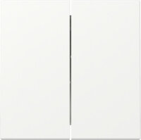 GIRA Wippe 2f Reinweiß m 329527