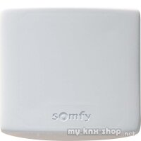 SOMFY Universal Receiver RTS 1810624