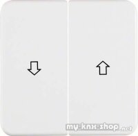 Berker 155229 Wippen mit Aufdruck Symbol Pfeil wg Up IP44...