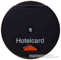 Berker Hotelcardschalter sw 164165