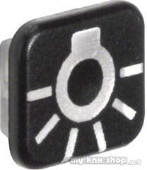 Berker Linse Symbol Licht 18223501