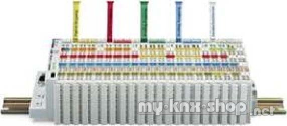 WAGO WSB-Bezeichnungskarte Aufdr.W.:20-29 (10x) 247-515